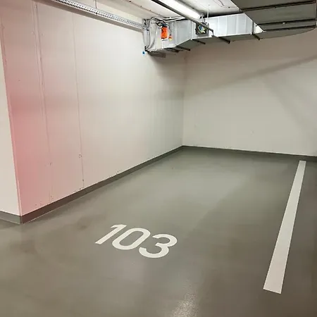 Apartment White Pearl With Parking In Holesovice *